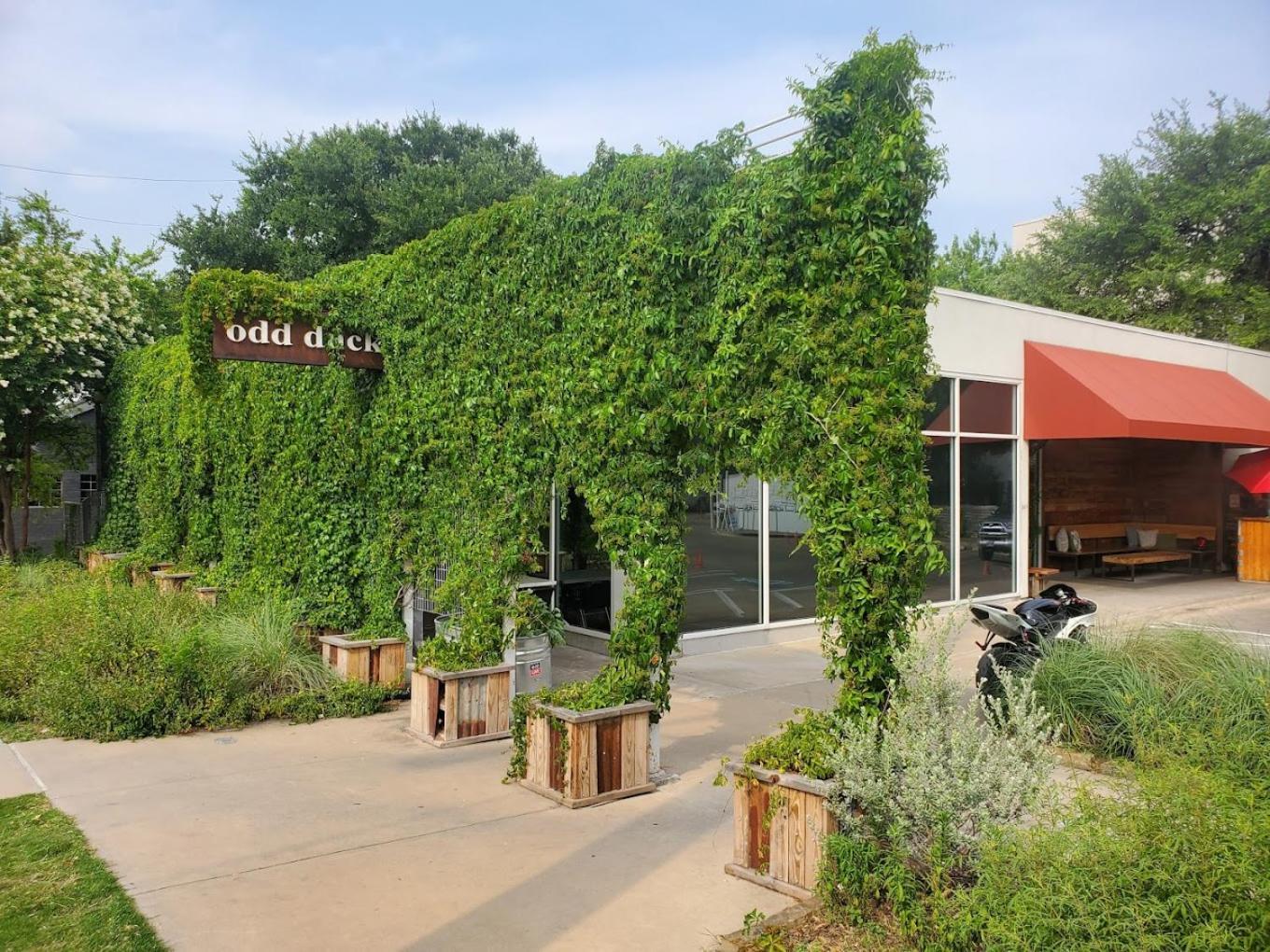 Mai's Home at Zilker, Barton Spring and Downtown Sleep 14 Austin Exterior foto